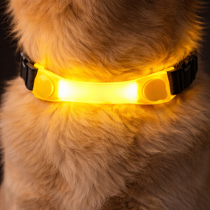 Waterproof LED Dog Collar with Glowing Safety Light, Multi-Color Pendants, Night Visibility Pet Collar for Outdoor Use