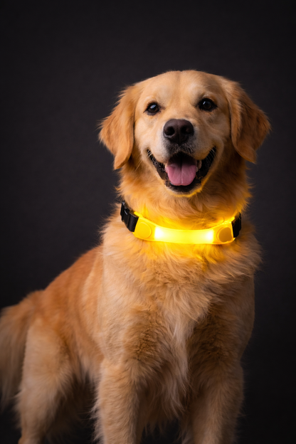 Waterproof LED Dog Collar with Glowing Safety Light, Multi-Color Pendants, Night Visibility Pet Collar for Outdoor Use