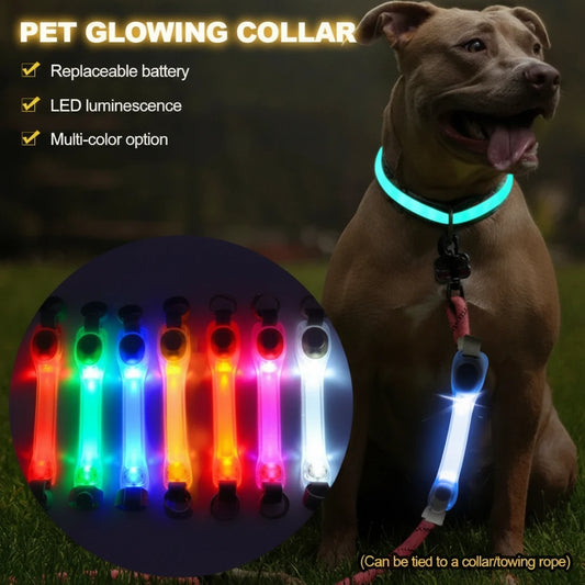 Waterproof LED Dog Collar with Glowing Safety Light, Multi-Color Pendants, Night Visibility Pet Collar for Outdoor Use