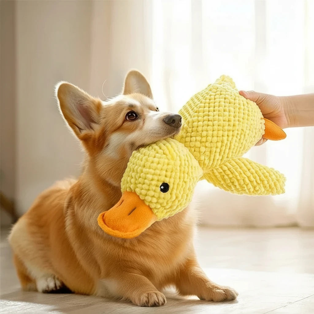 Dog playing with a yellow duck toy held by a hand, with text about pet interaction.