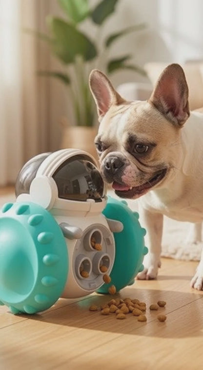 Interactive Dog Toys and Slow Food Dispenser